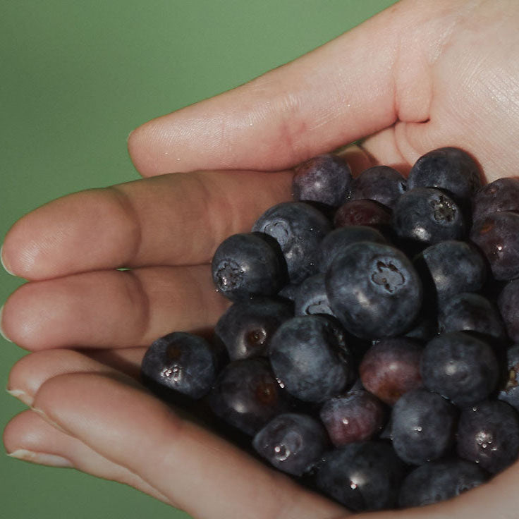 B-Corp Certification