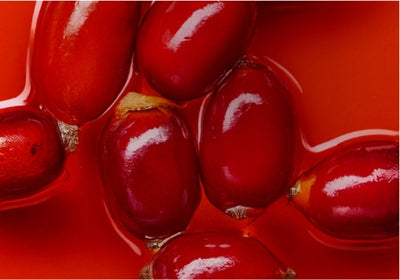 How to use Rosehip Oil for skin, hair & nails