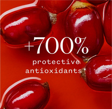 Rosehip: the wonder ingredient