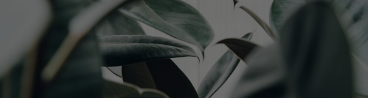 MADE BY US.
INDEPENDANTLY CERTIFIED.
GOODNESS BUILT IN.