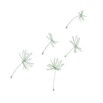 The Rosehip Collection